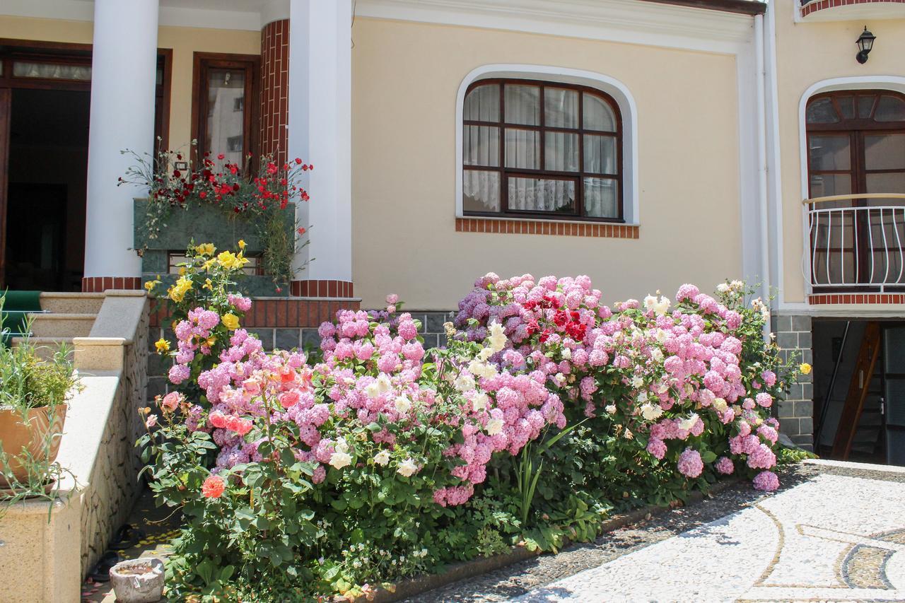 Vila Topciu Pogradec Exteriör bild
